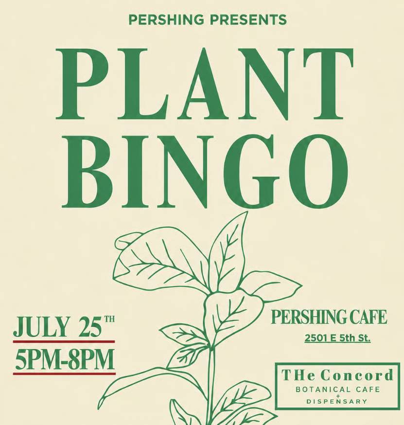 Event flyer graphic